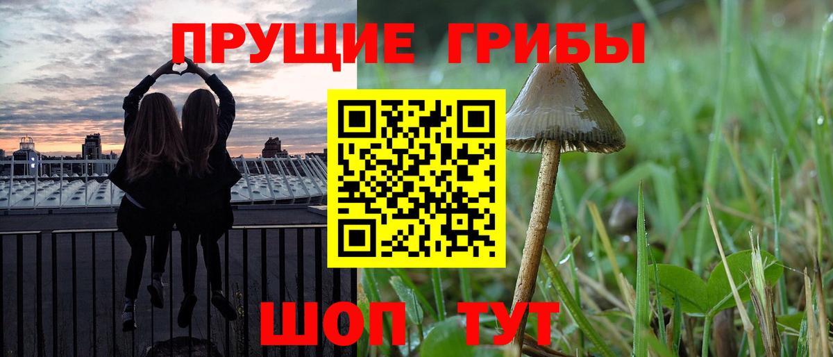 Псилоцибиновые грибы ЛСД  Галлюциногенные грибы мицелий  Вход с VPN  Златоуст 
