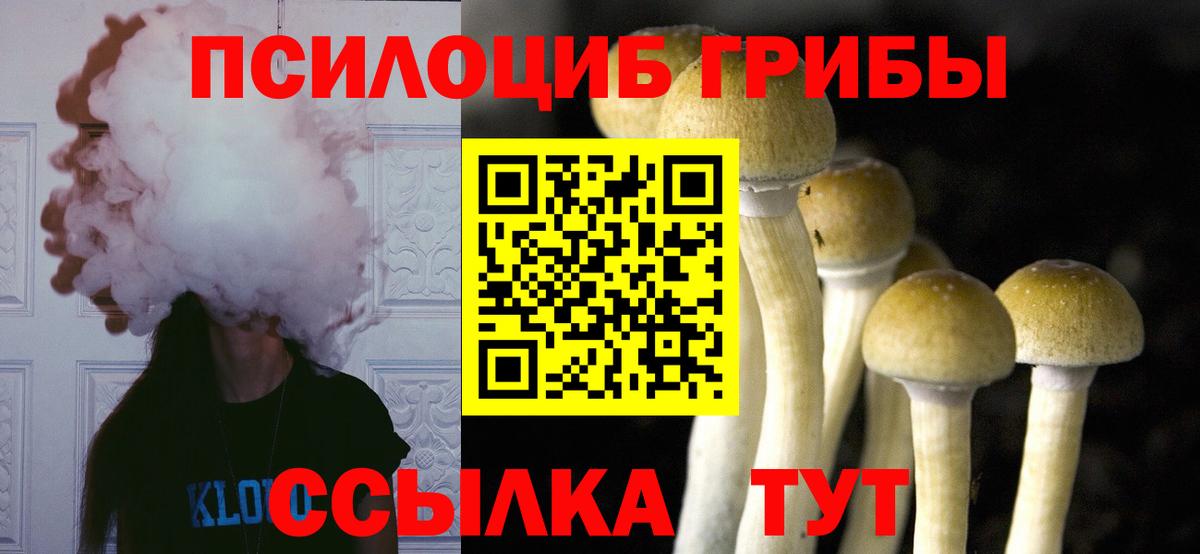 Псилоцибиновые грибы мухоморы Златоуст