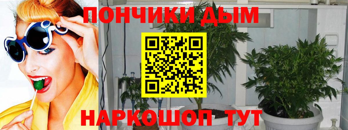 Шишки марихуана Amnesia  Бошки Шишки LSD WEED  МАРИХУАНА сатива  Златоуст  Вход с VPN 